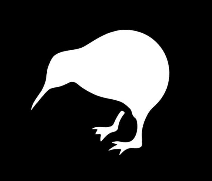 Kiwi Bumper Sticker